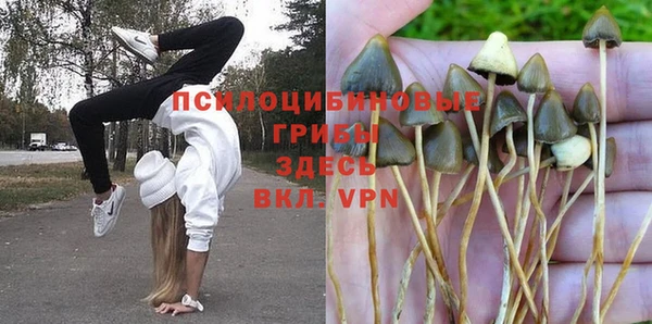 мет Баксан