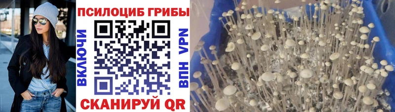 Галлюциногенные грибы MAGIC MUSHROOMS  что такое наркотик  Семилуки 